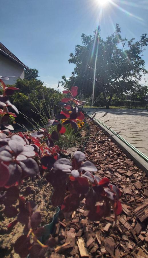 Feszty-Feszek Vendeghaz Daire Tiszafüred Dış mekan fotoğraf